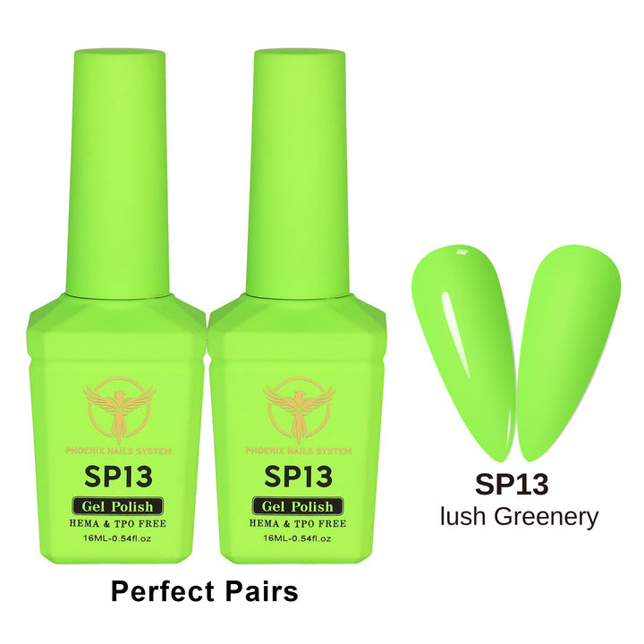 Phoenix Spring Gel Collection 24 Colors - Free Extra 24 Gels + 1 Color Book + Vali