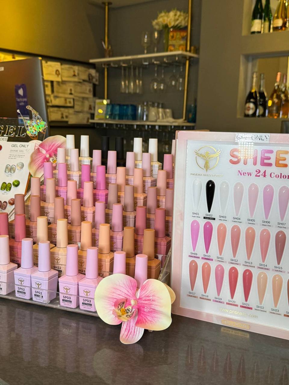 Phoenix Sheer Gel Collection 24 Colors - Free Extra 24 Gels + 1 Color Book + Vali + FREE Mica Holder Rack - LIMITED TIME ONLY