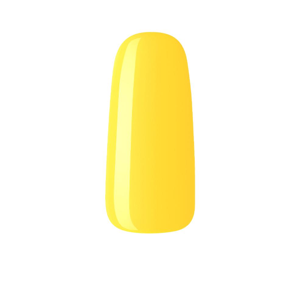 NU 95 Sunflower
