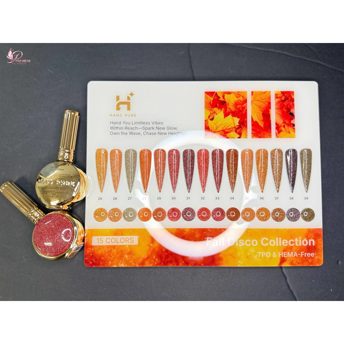 HANG Fall Disco Gel Collection 15 Colors (25 - 39)
