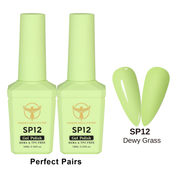 Phoenix Spring Gel Collection 24 Colors - Free Extra 24 Gels + 1 Color Book + Vali