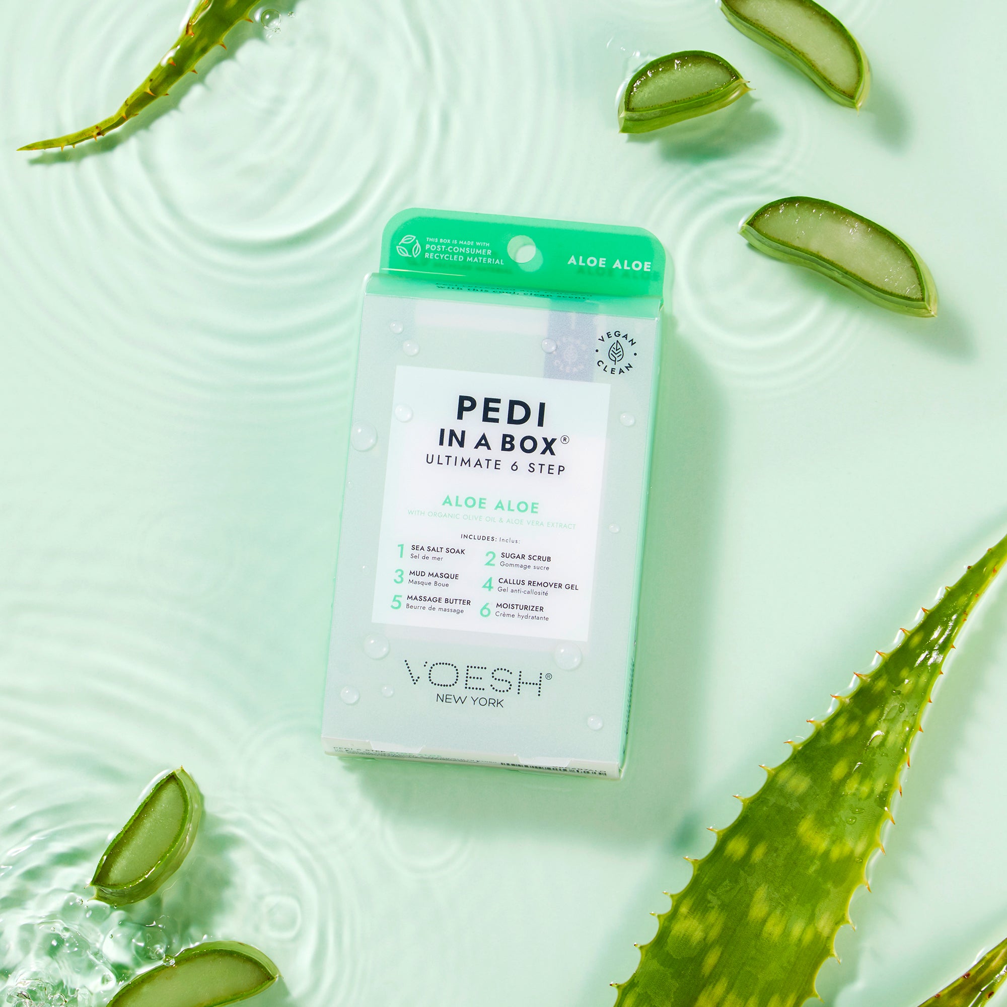 Voesh Ultimate 6 Step Pedibox Aloe