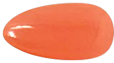 OPI Gel Color Coraling Your Spirit Animal GCM88